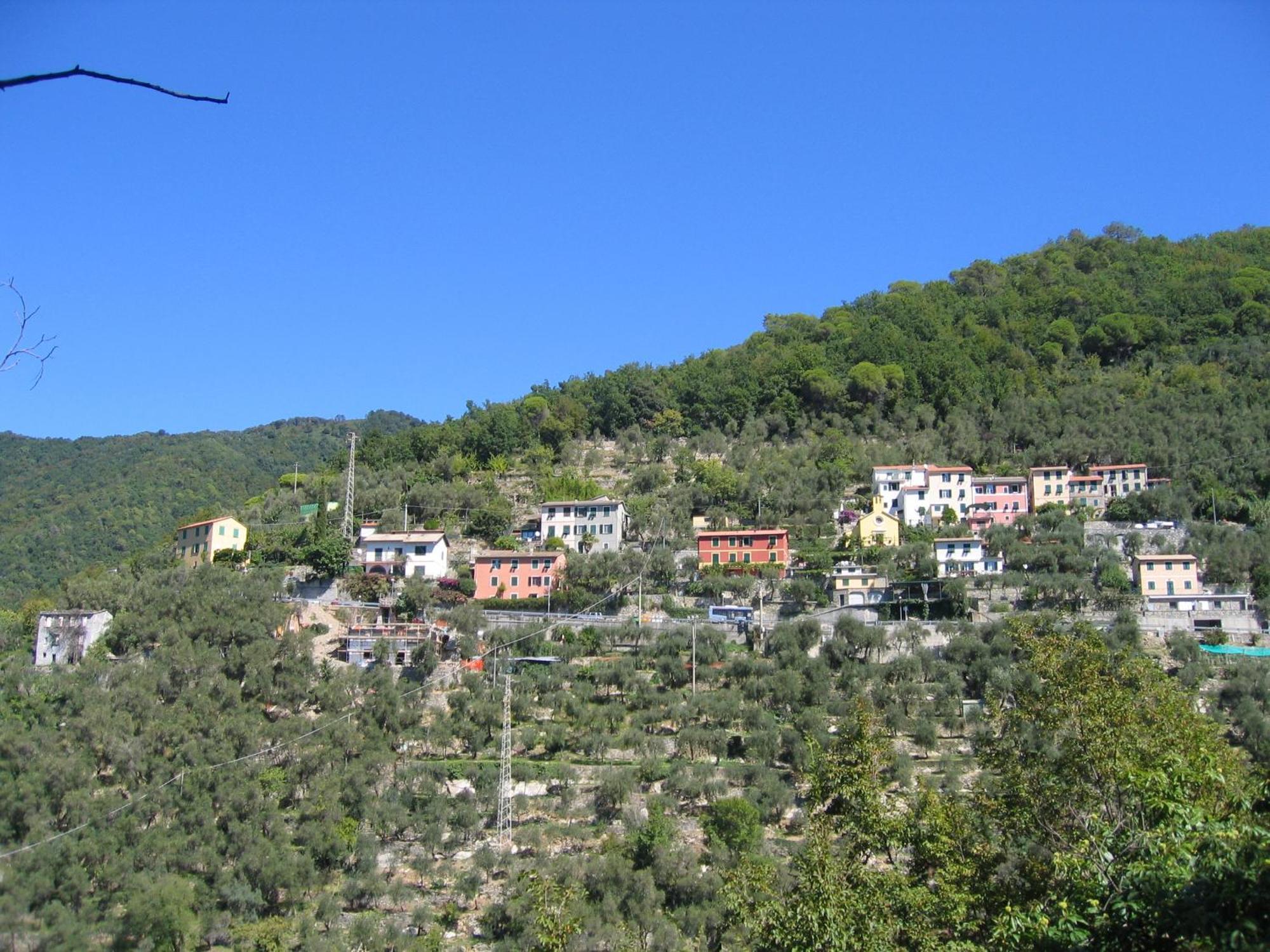 Affittacamere Cerisola 2003 Zoagli Buitenkant foto