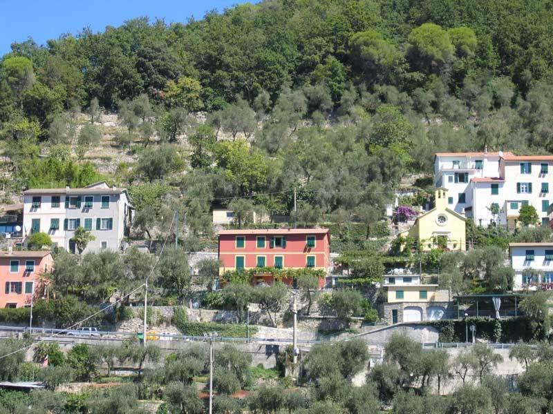 Affittacamere Cerisola 2003 Zoagli Buitenkant foto